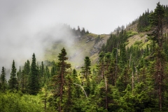GNP-08.22.21-0142
