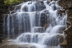 GNP-8.22.21-0140