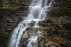 GNP-8.22.21-0141