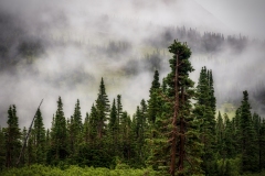 GNP-8.22.21-0143