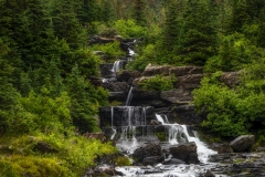 GNP-8.22.21-0151