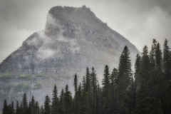 GNP-8.22.21-0153