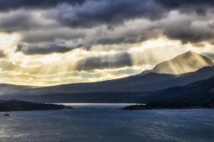 GNP-8.22.21-0158