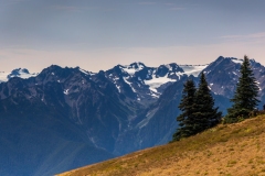 Hurricane-Ridge-8.15.21-5586