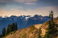Hurricane-Ridge-8.15.21-5594