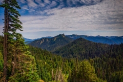 Hurricane-Ridge-8.15.21-5606