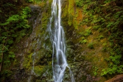 Madison-Creek-Falls-8.15.21-5631