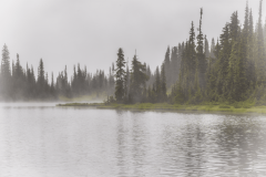Mt-Rainier-Reflection-Lake-8.17.21-6023