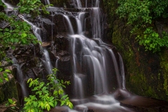 Mt-Rainier-Reflection-Lake-Falls-8.17.21-6024