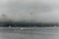 Port-Townsend-Fog-8.15.21-5550