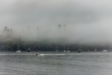 Port-Townsend-Fog-8.15.21-5550