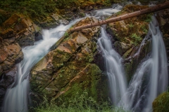 Sol-Duc-Falls-8.16.21-5747
