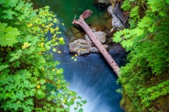 Sol-Duc-Falls-vertical-panorama-8.16.21-5739-40