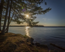 WoodenFrog-lake-sunset-5.28.21.3