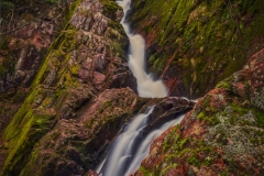 Morgan-Falls-4.10.21.2