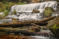 Willow-River-Falls-9.24.22-2334