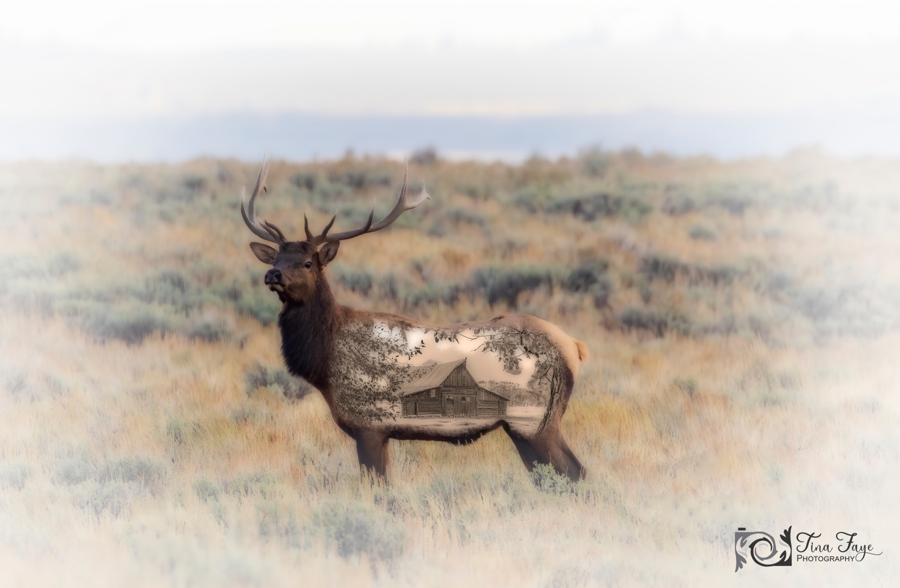 Elk-Molton-Barn-9.25.20-gigapixel-scale-2_00x