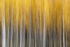 ICM-9.25.24-0772