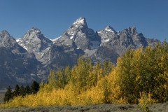 Teton-9.24.24-0667.2