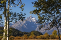 Tetons-9.26.24-5146