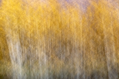 Z-ICM-9.25.24-0774