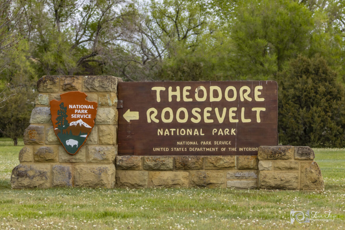 Theodore Roosevelt National Park road trip!