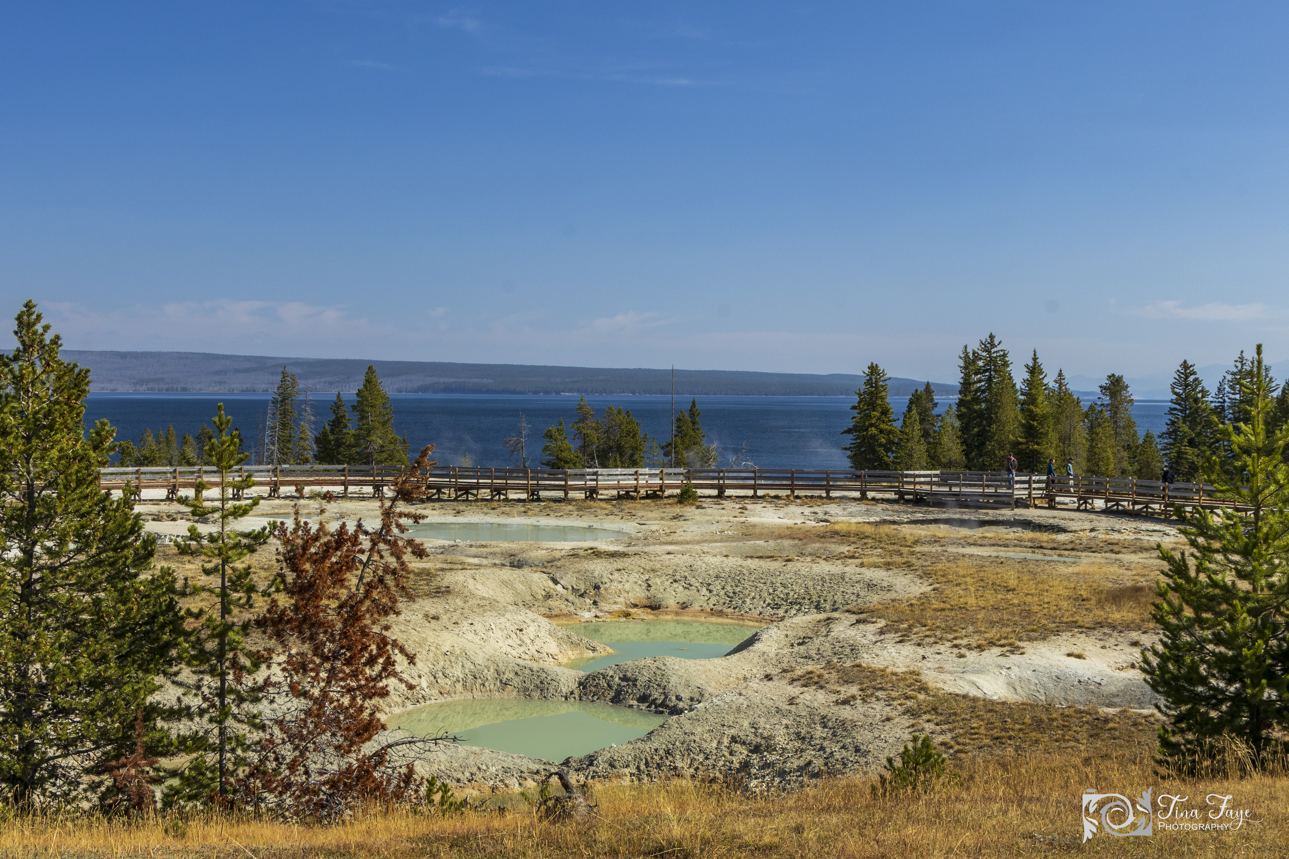 West Thumb Geyser Basin