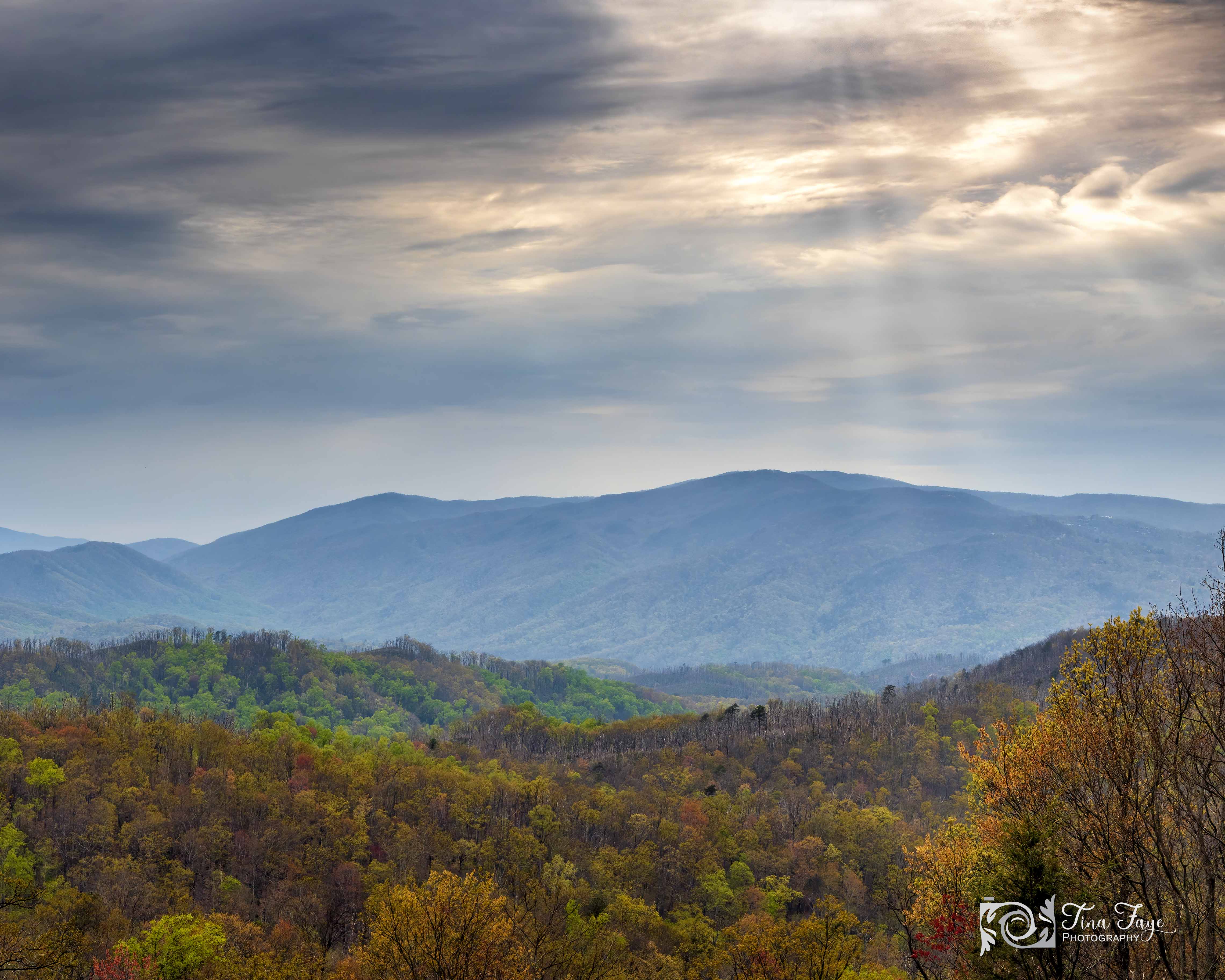 Roaring Fork Motor Trail view