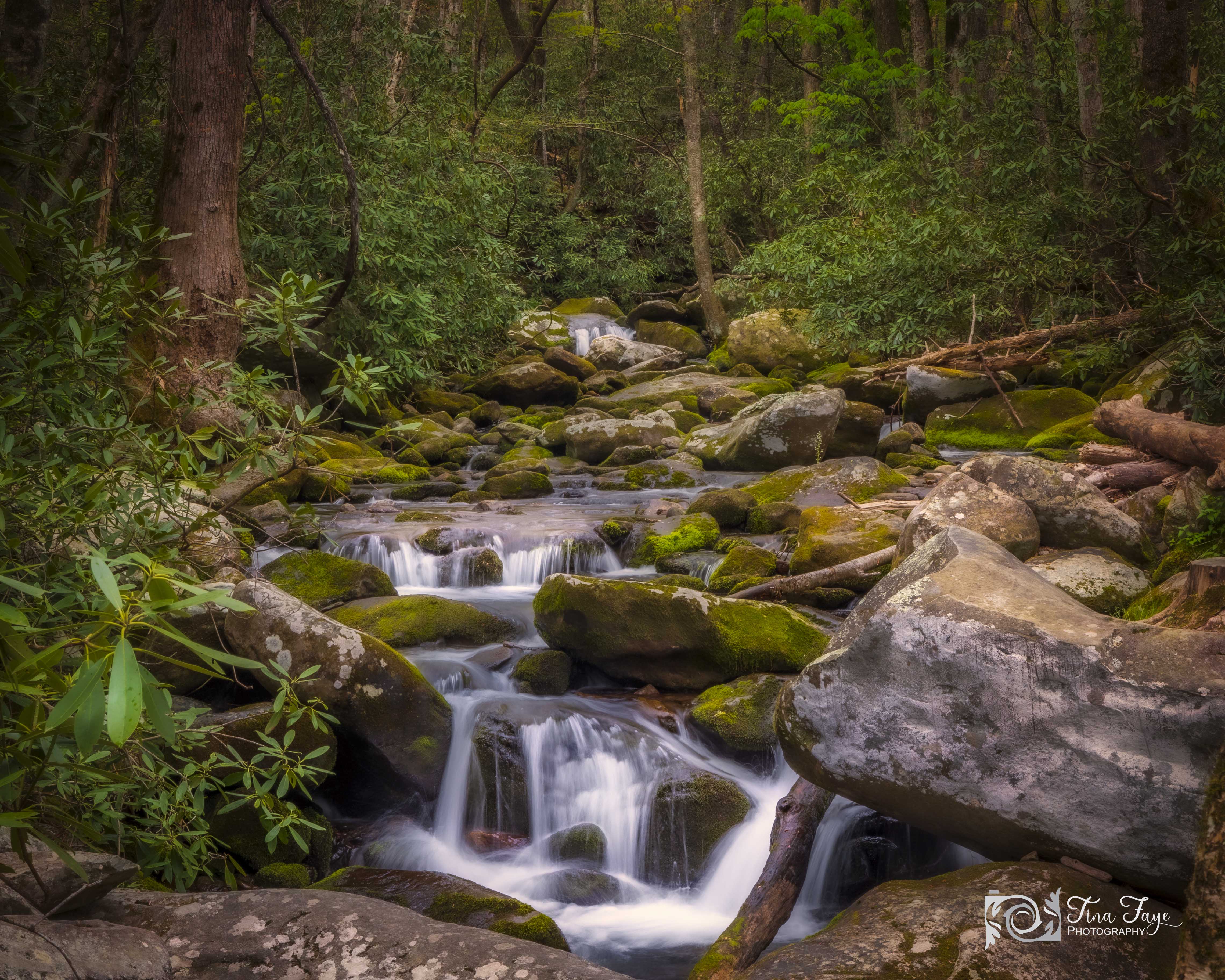 Roaring Fork Waterfall