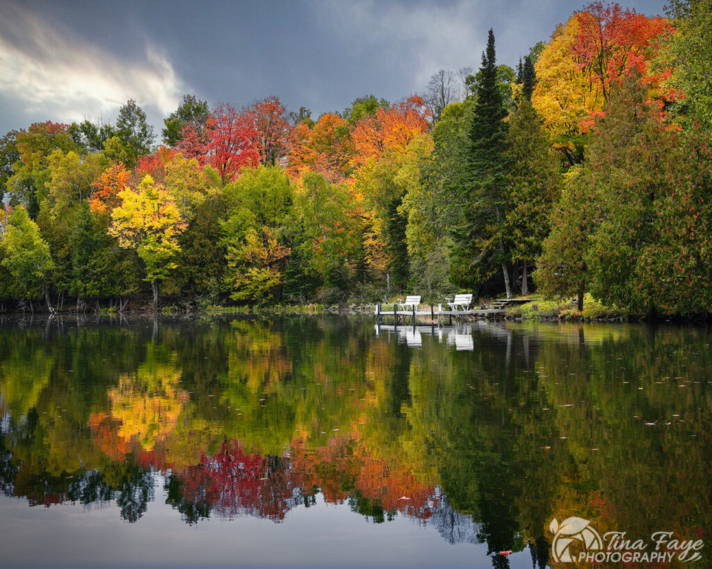Bench on lake with fall leaves.