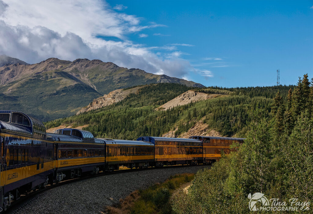Alaska dome train rounding the corner on our way to Denali National Park.